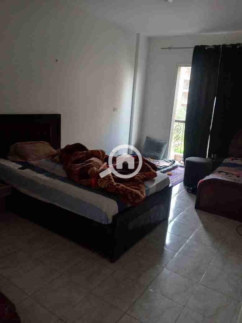 50165. jpg 50165. jpg