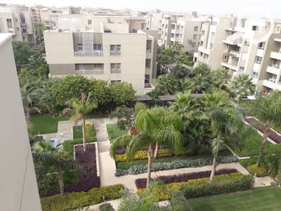 3 Bedroom Penthouse for Rent in New Cairo, Cairo - 48369987_2159467544076498_1065475523783688192_n. jpg