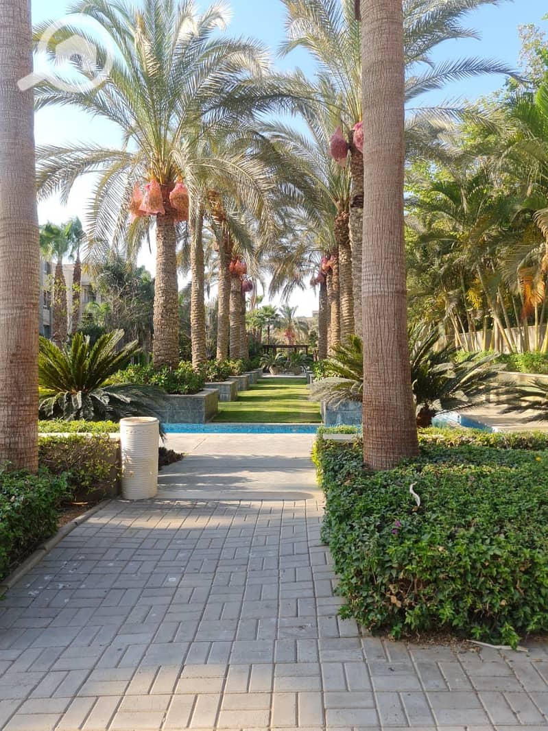 13 WhatsApp Image 2025-08-18 at 10.24. 04 PM. jpeg