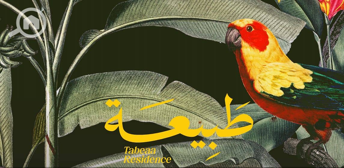 10 طبيعه44. png