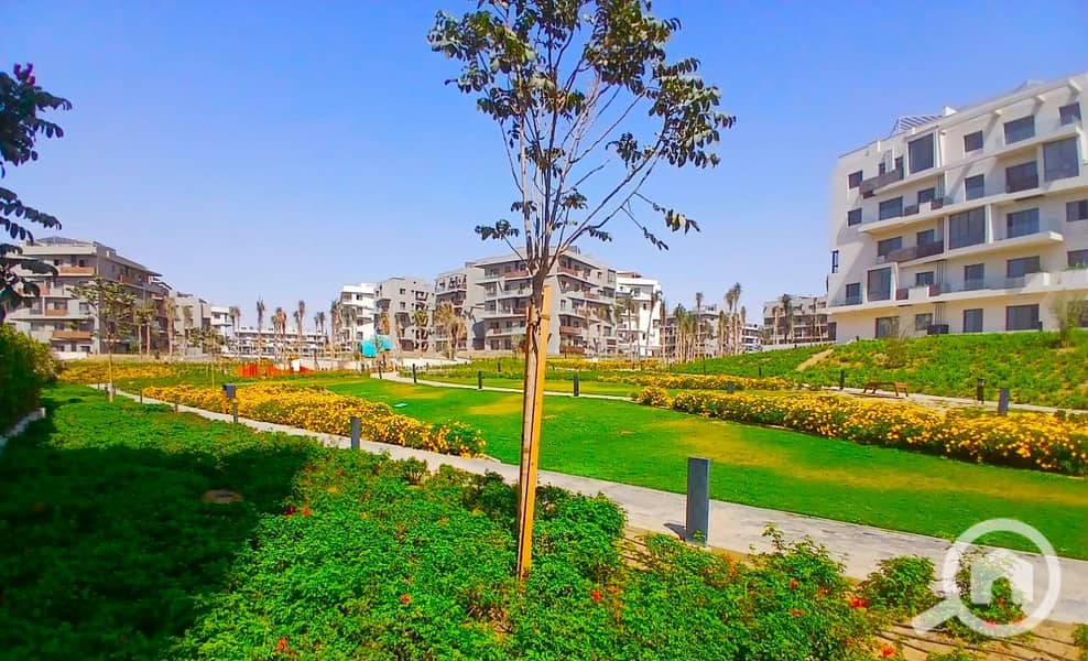 3 IMG-20251126-WA0006. jpg