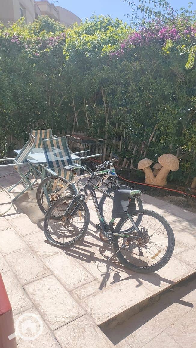 8 965de294-0ec1-41dd-88a9-7b4119da39b4. jpeg