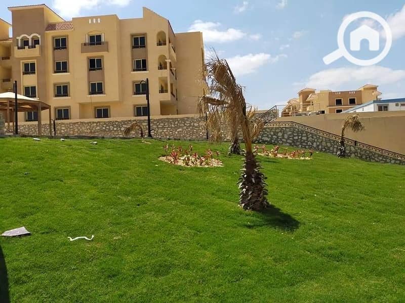 4 120917155_407604367307359_9199448766299861558_n. jpg