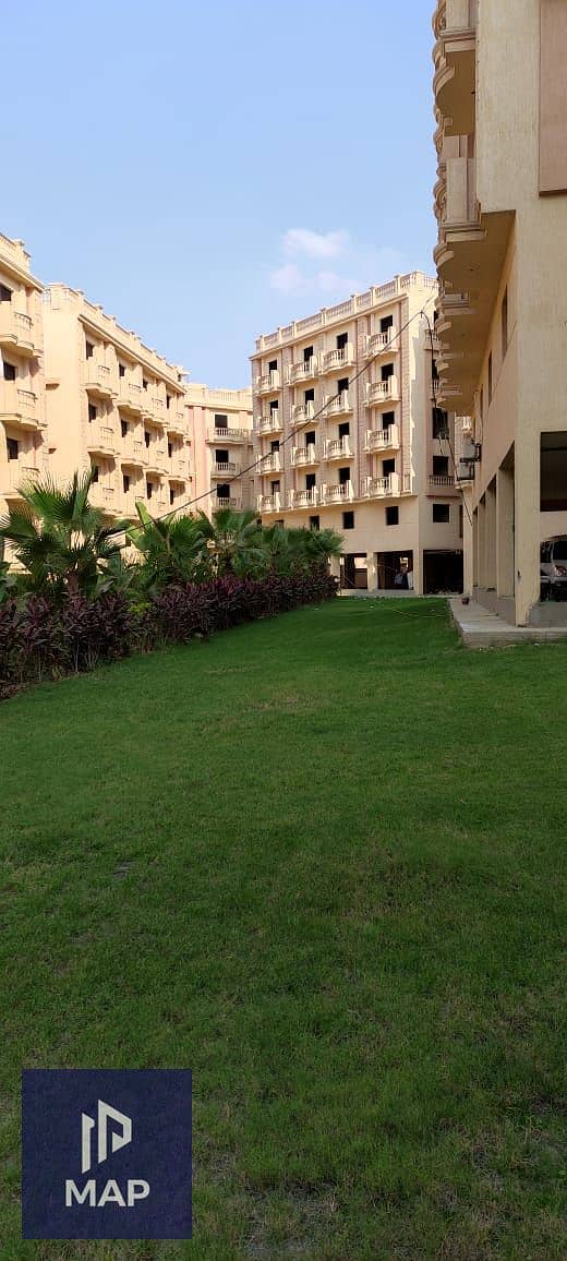 5 WhatsApp Image 2024-12-08 at 1.16. 46 PM. jpeg