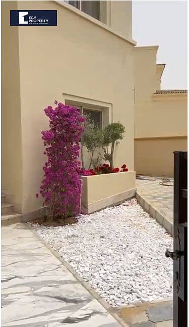 7 Screenshot (248). png