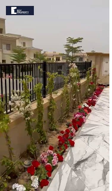 9 Screenshot (251). png