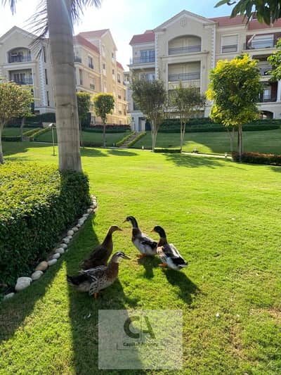 شقة 2 غرفة نوم للبيع في القاهرة الجديدة، القاهرة - WhatsApp Image 2025-12-17 at 2.34. 56 PM. jpeg شقة 2 غرفة نوم للبيع في القاهرة الجديدة، القاهرة - WhatsApp Image 2025-12-17 at 2.34. 56 PM. jpeg