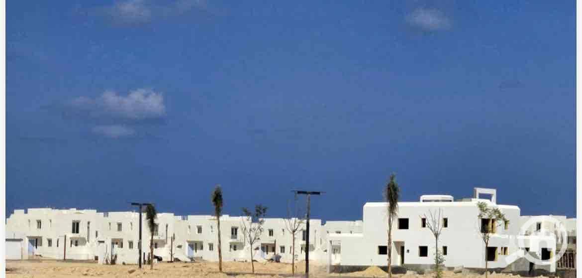 14 831fe12a-931a-427f-b9fb-f1dfb23b16a1. jpg