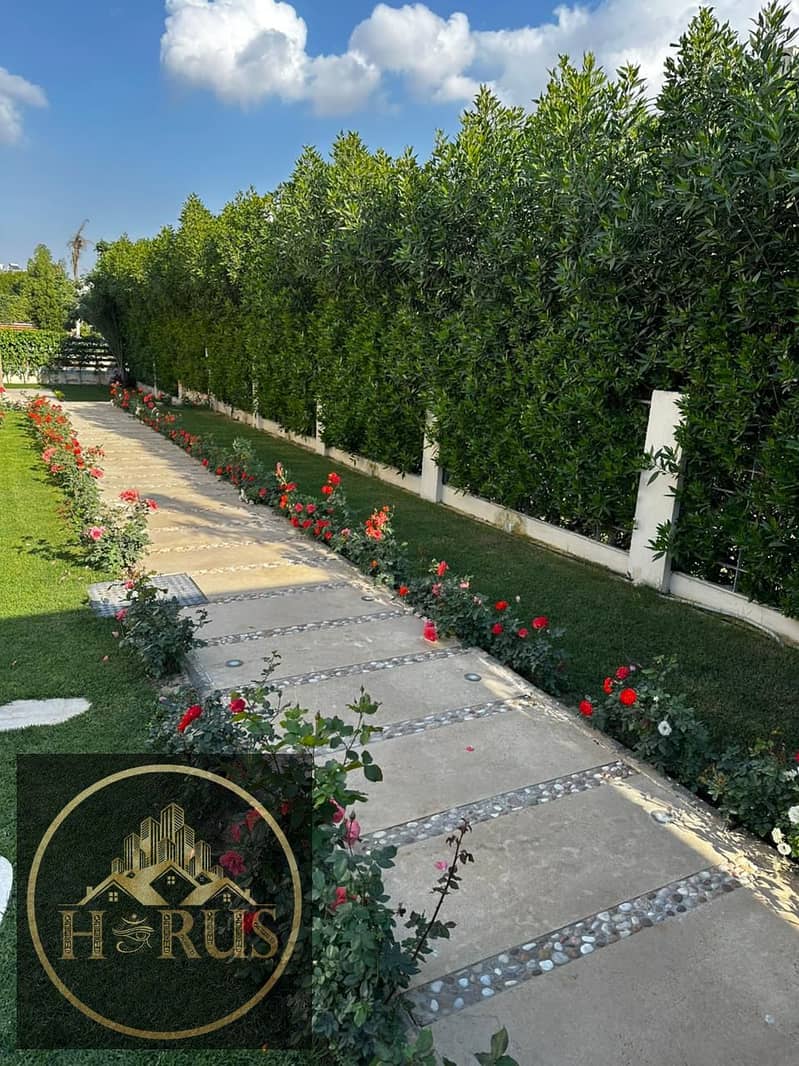 10 063d49aa-96a3-4237-bfa4-4cac6858796b. jpg