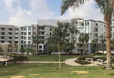 10 65f2cf47b0ee6125608545. jpeg