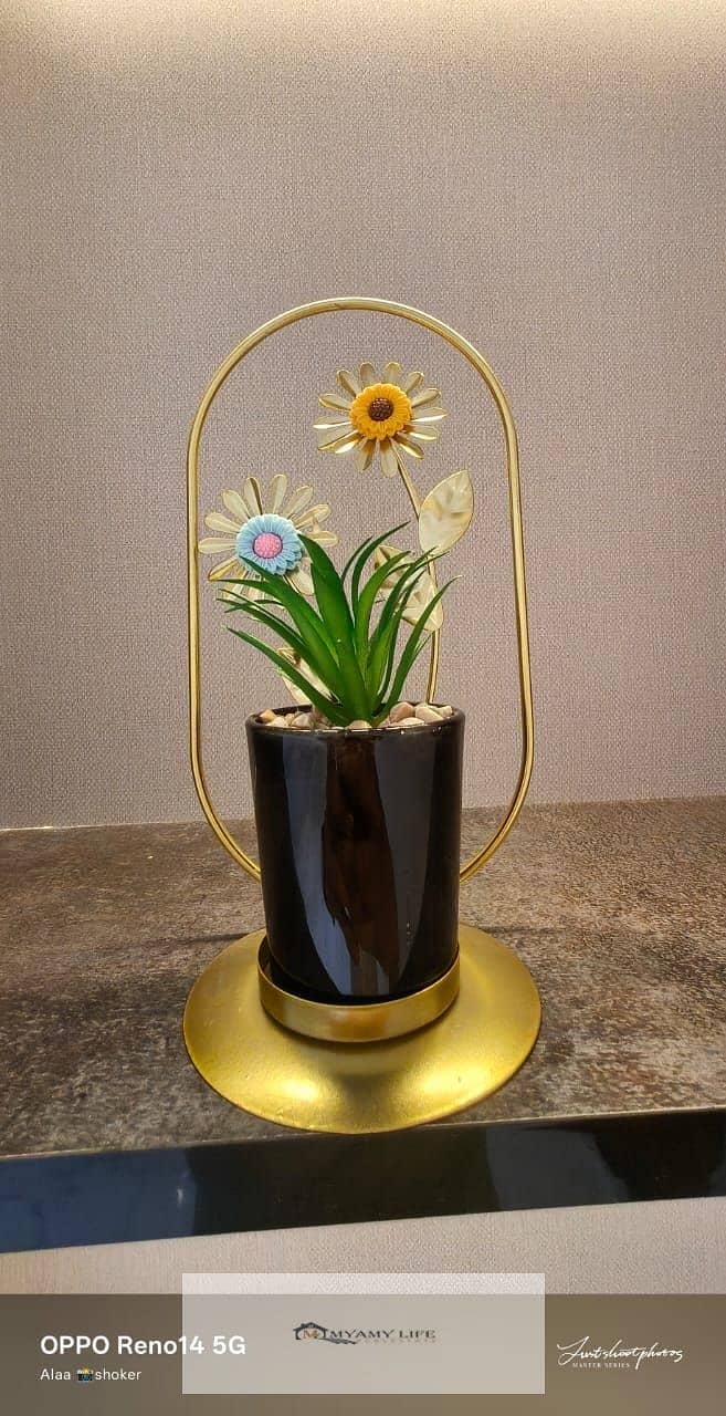 9 WhatsApp Image 2025-09-25 at 5.05. 59 PM (3). jpeg