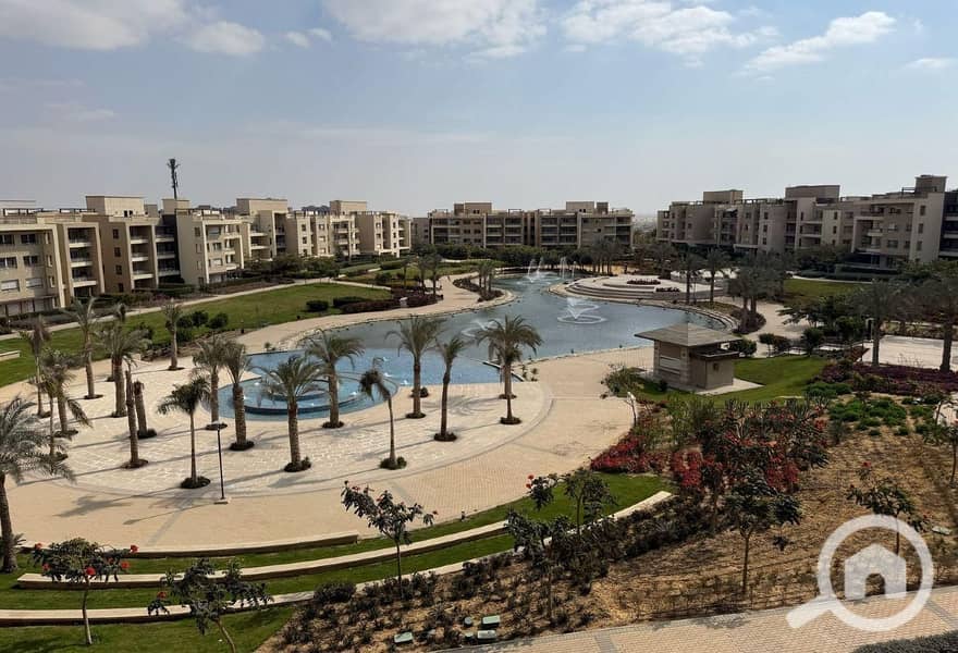 2 8003992-6ed79o. jpg