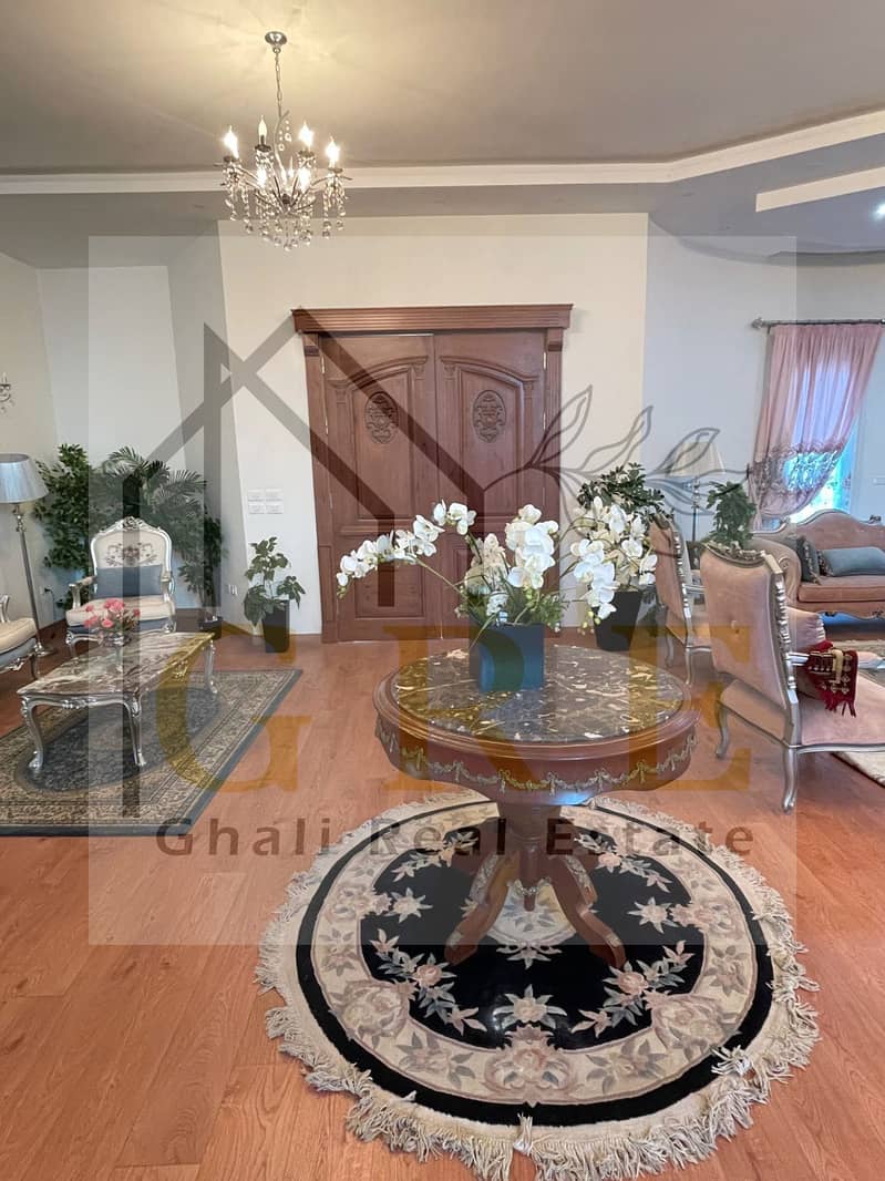 5 81e798d8-af90-4a03-8876-aba1ee3196b9. jpg