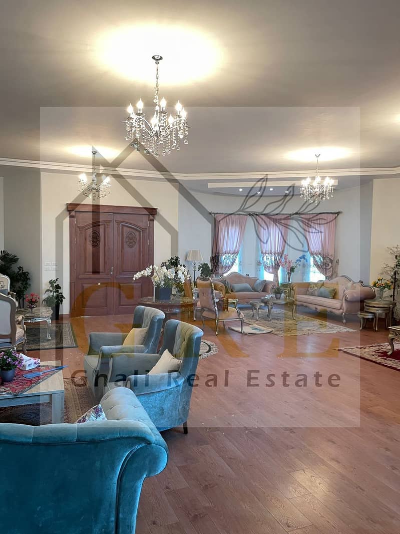 12 dd15109c-7a25-4e0e-9878-3241824ae155. jpg