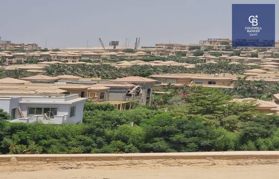 4 6048568444451932073. jpg