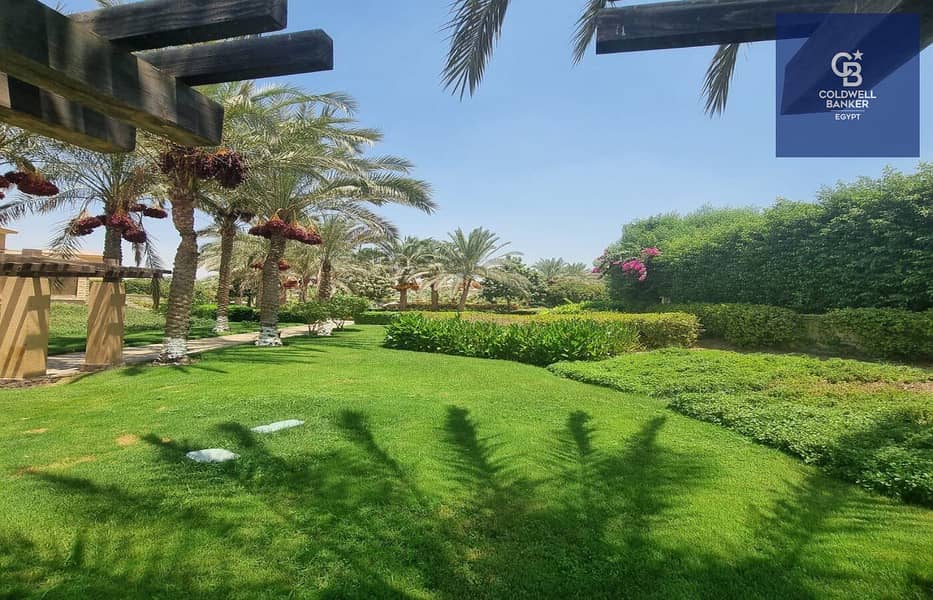 10 6048568444451932080. jpg