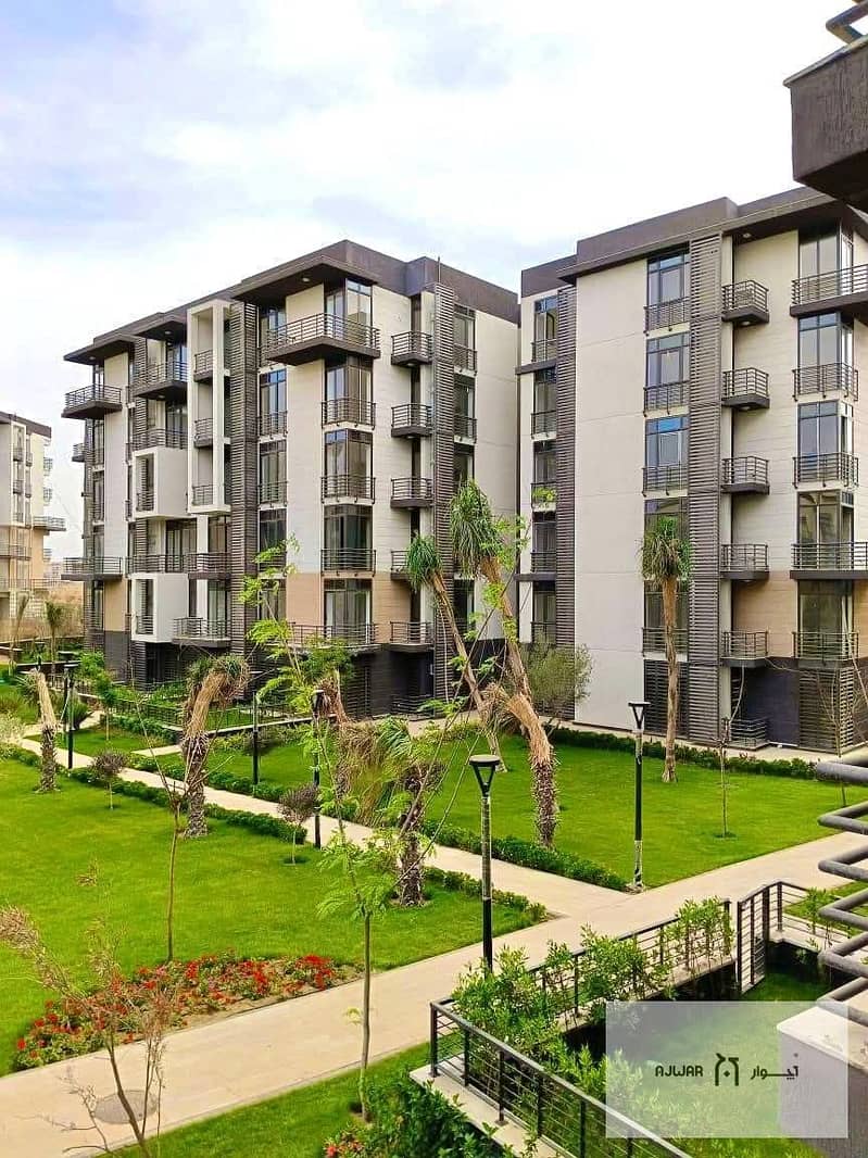 11 d17d40cc-371f-4c03-996d-819739706597. jpg