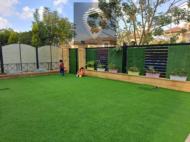 3 WhatsApp Image 2025-08-07 at 17.24. 12_74e6869e. jpg