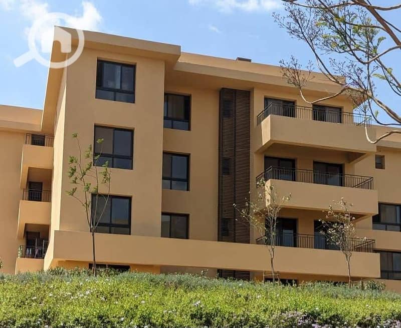 4 WhatsApp Image 2025-09-01 at 8.24. 35 PM. jpeg