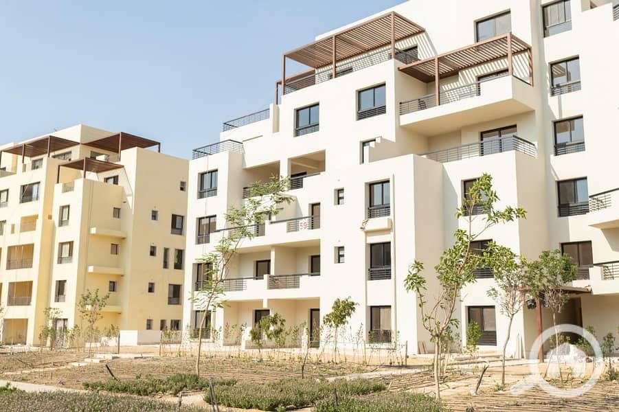 11 WhatsApp Image 2024-12-16 at 1.03. 41 PM. jpeg