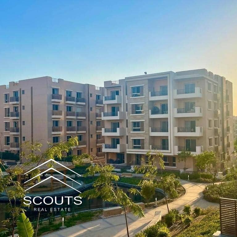 13 438094328_416998161039039_430215657463759611_n. jpg