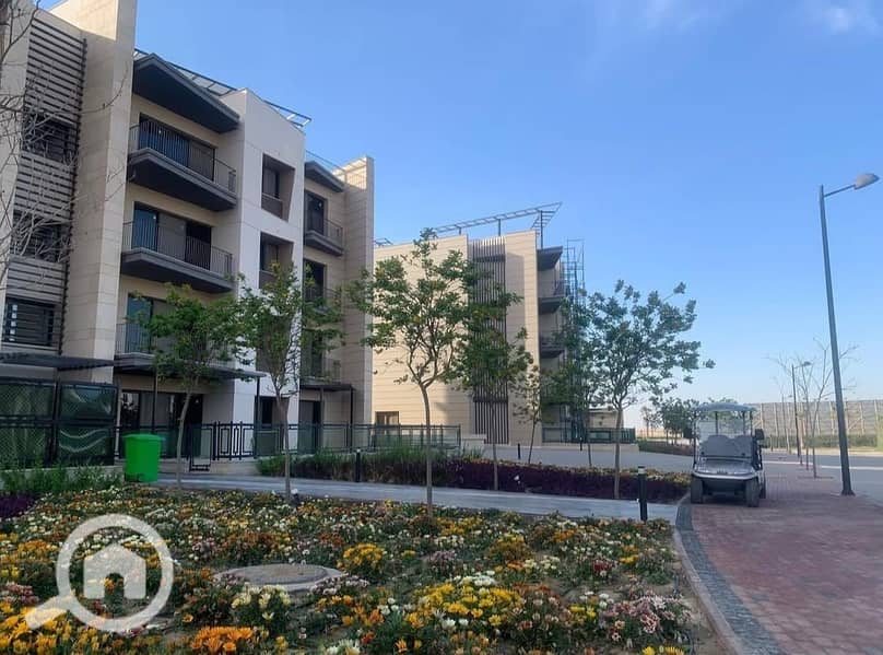 12 WhatsApp Image 2024-12-19 at 1.38. 36 PM (1). jpeg