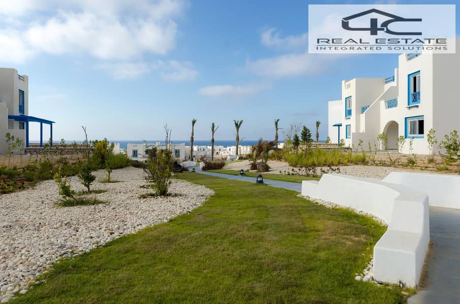 7 499216985_9724571827631325_1220815927638914296_n. jpg