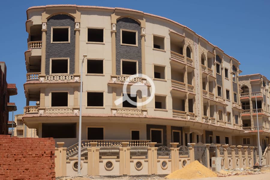 5 IMG_9357-Enhanced-NR. jpg