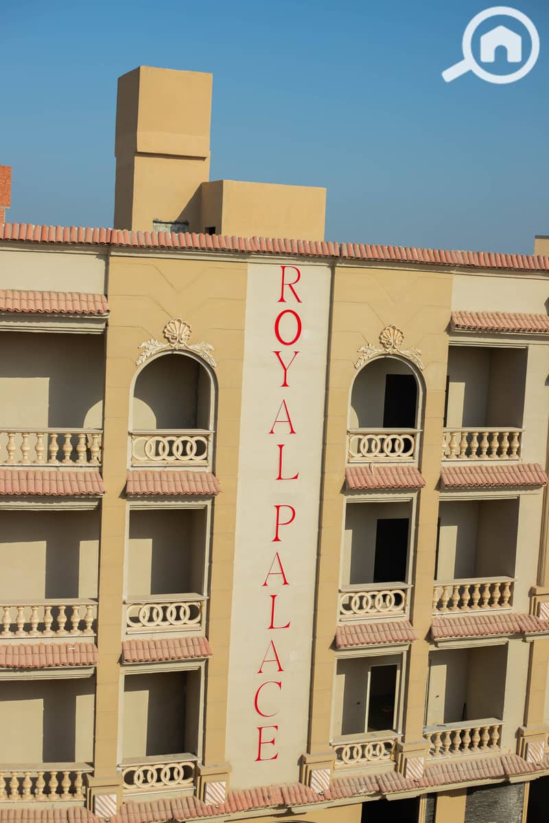 6 IMG_8080-Enhanced-NR. jpg