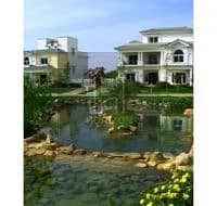 9 Mountain-View-1.1. jpg