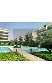 8 medium_IMG-20240805-WA0010. jpg