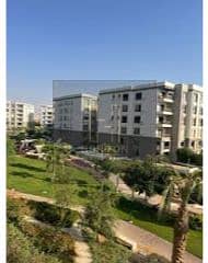 9 images (1). jfif. jpg