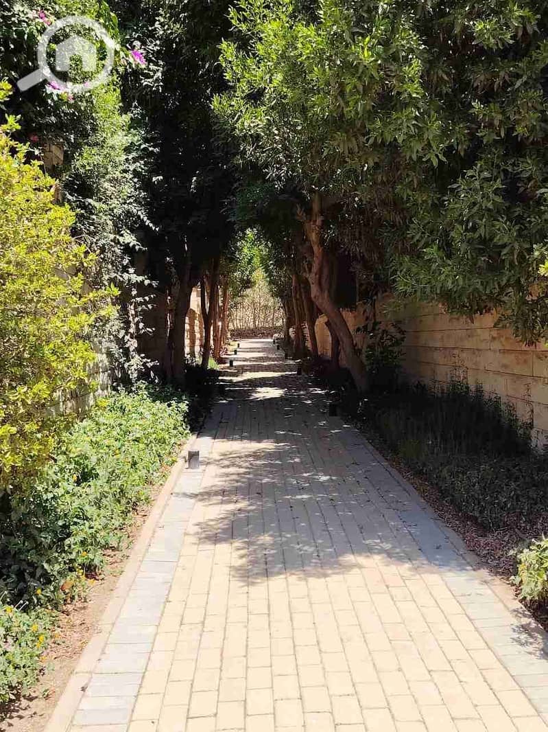 10 IMG_20251012_003212_877. jpg