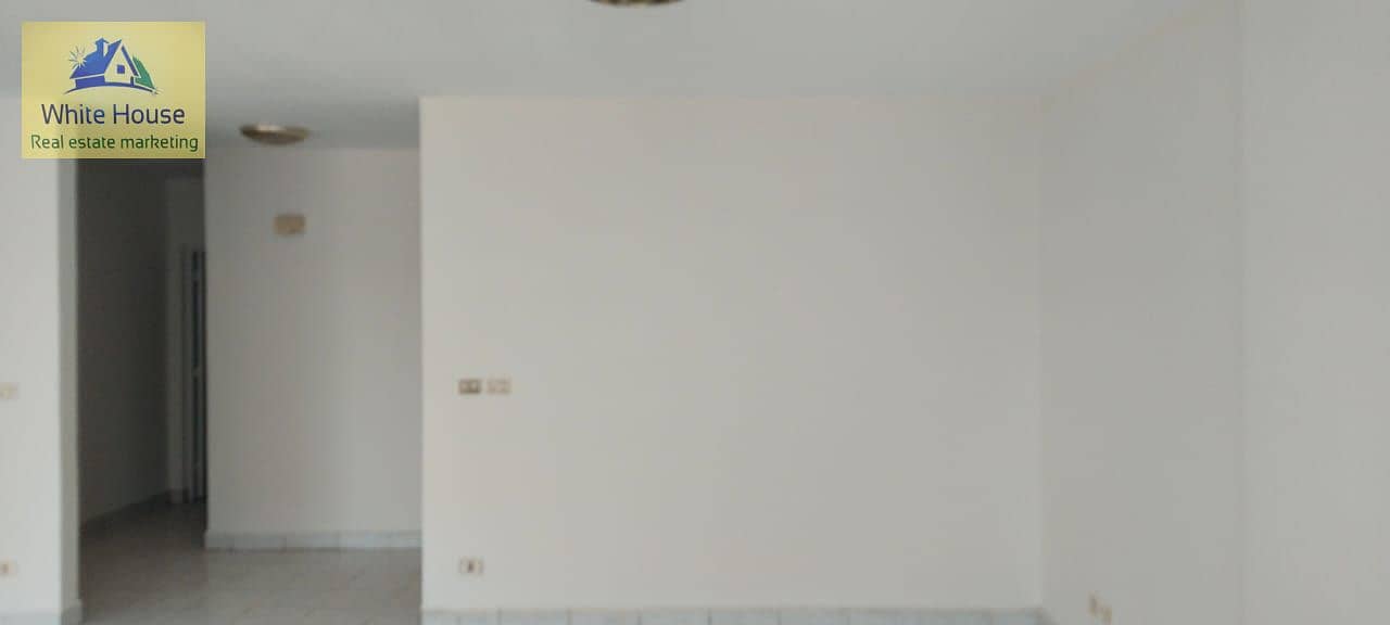 12 91c02167e26d4226b770c3797ce1138a. jpg