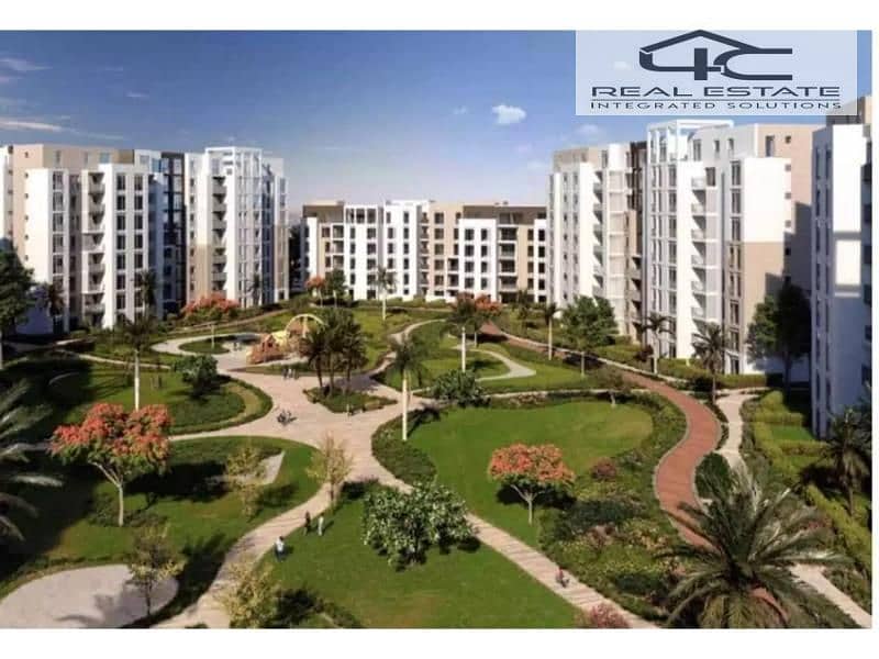 2 4669664-4259co. jpg