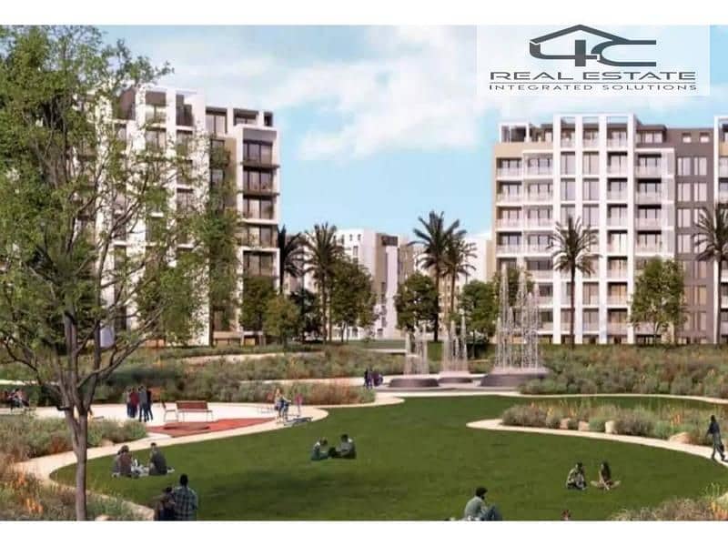 10 4669664-d81cao. jpg