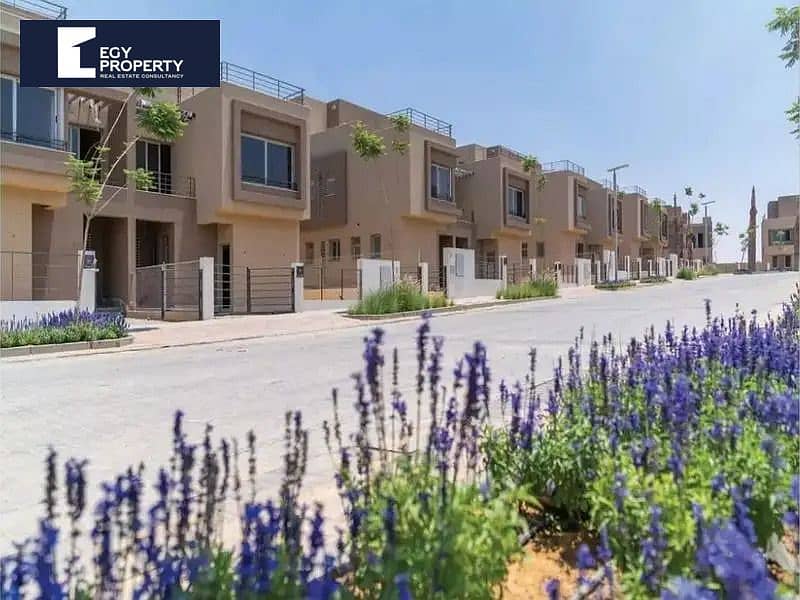 5 154337649-800x600. jpg