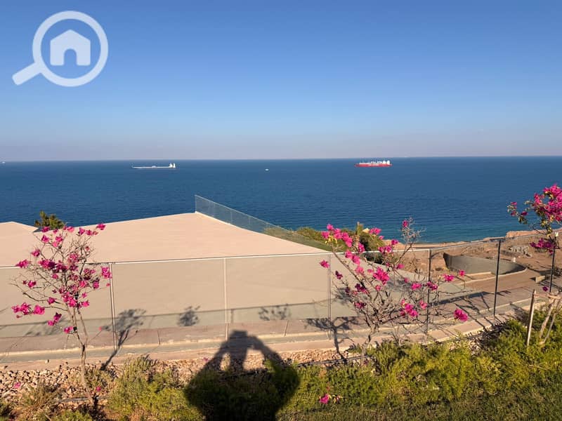 11 10daa9c9-51a9-4b8e-964b-8fdb20b50c80. jpg