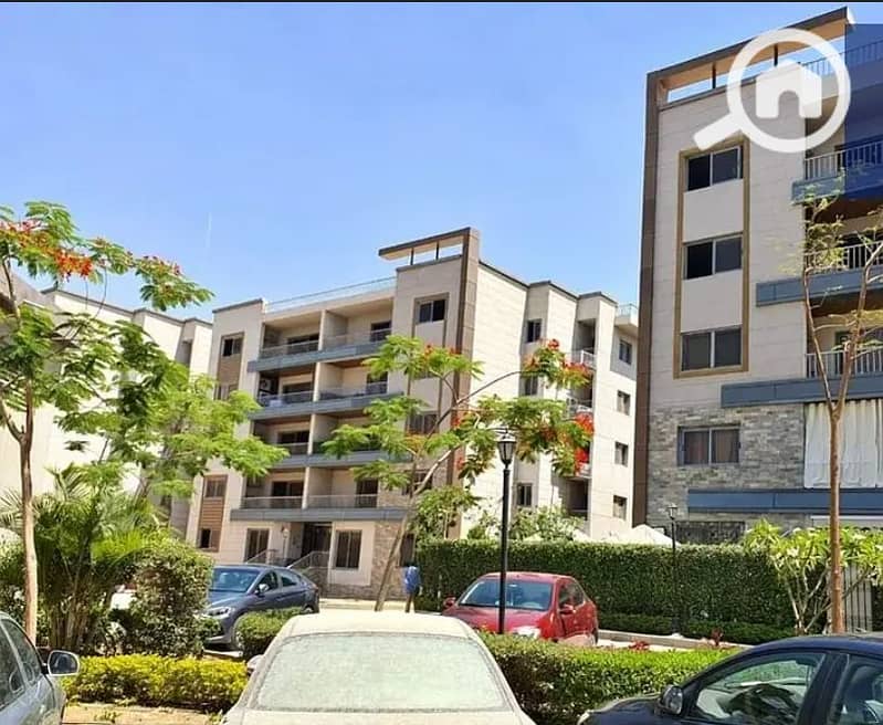 2 Screenshot_204. png