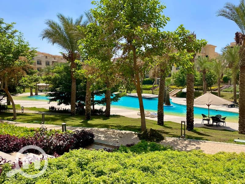 5 5296d49e-2d6b-49f1-8ae5-c2577ef6986e. jpg