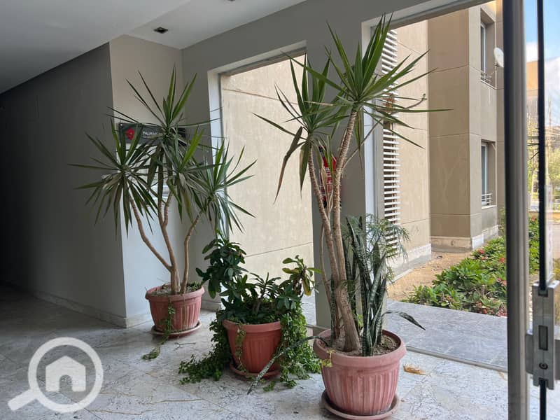 2 02db0cd7-4636-4308-8e36-46ba2df8c72c. jpg