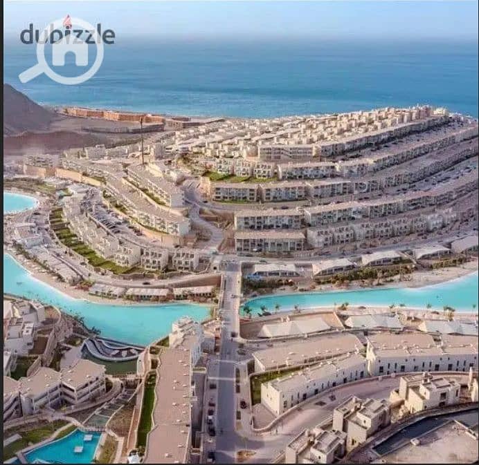 20 Screenshot_11. png