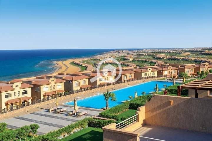 5 photo_2025-03-12_19-01-22. jpg