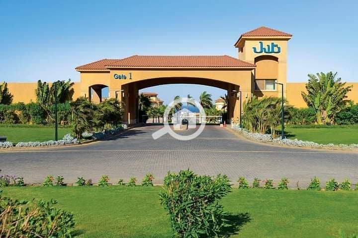 10 photo_2025-03-12_19-01-28. jpg