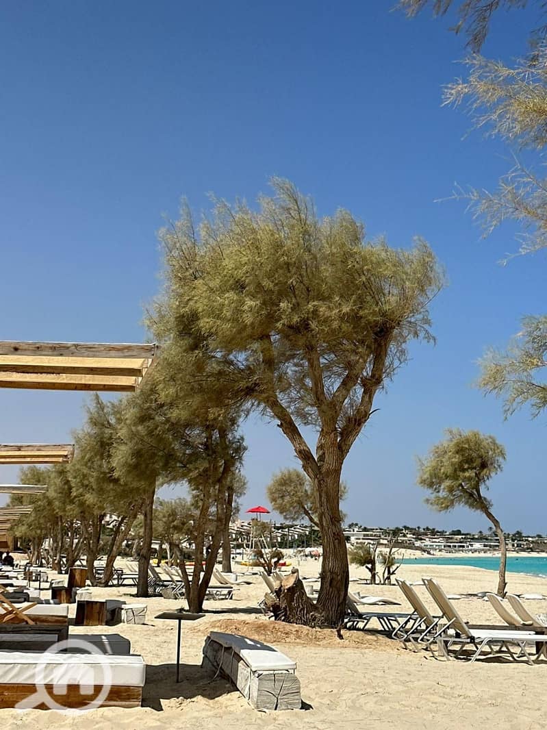 5 WhatsApp Image 2025-09-16 at 4.30. 12 AM. jpeg