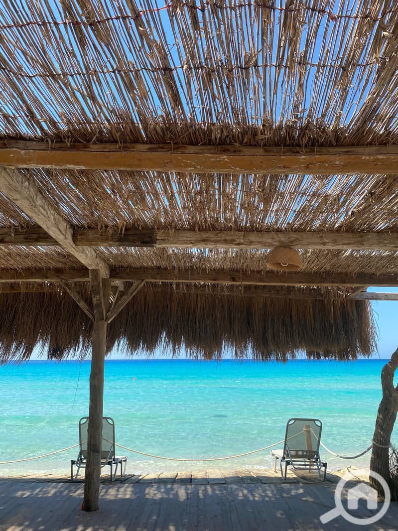 6 7d2c9e8c-407c-4886-8737-0d16e3857067. jpg