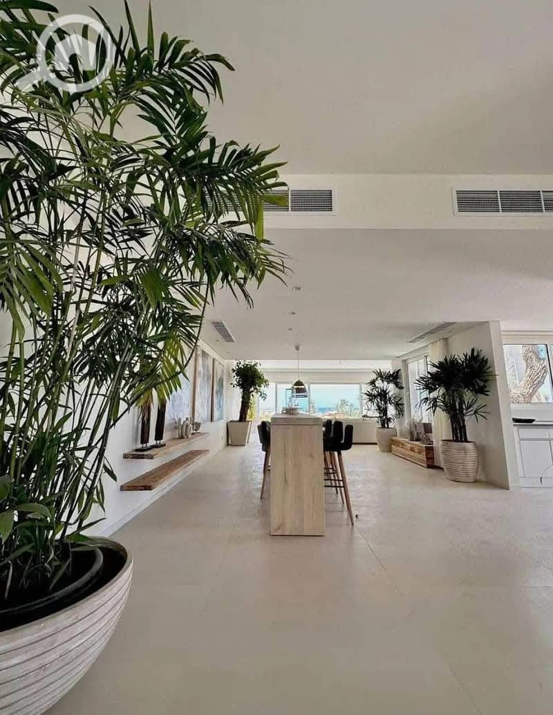 2 4877ff8e-e337-4750-a7f9-2723db484470. jpg