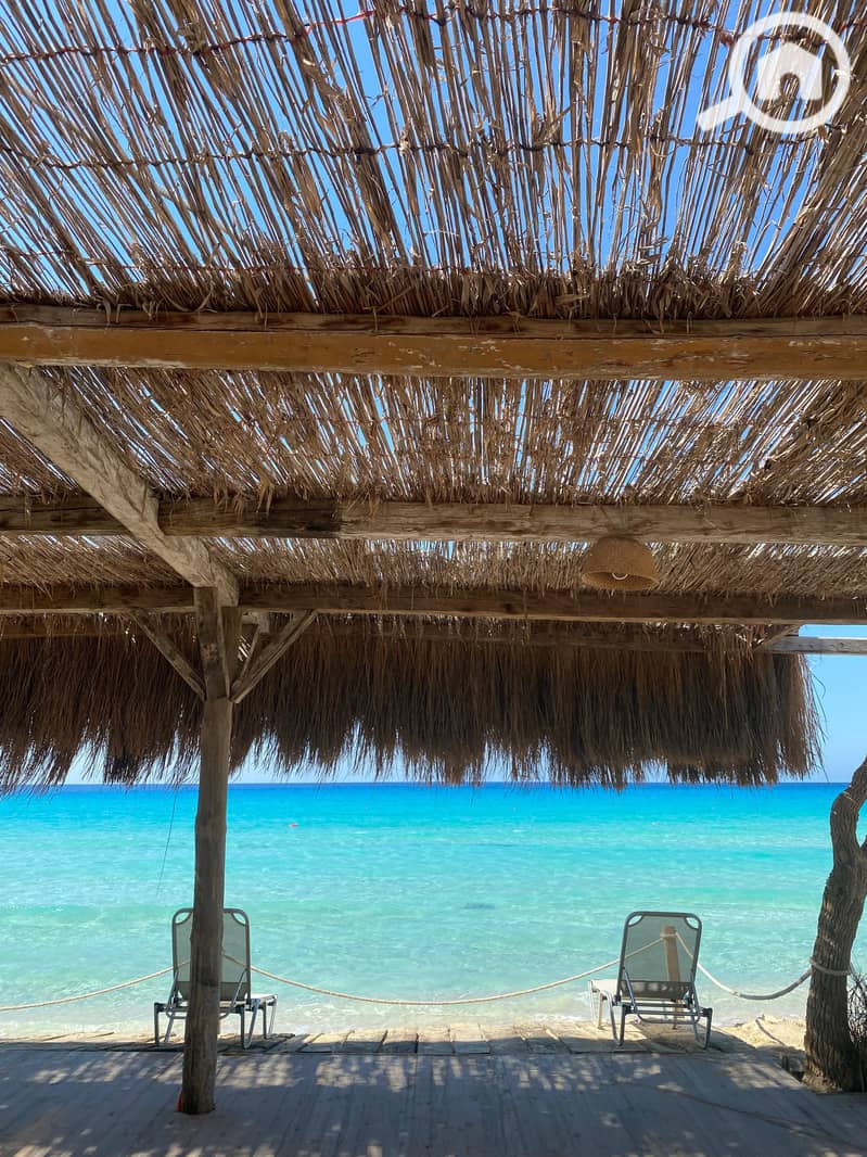 6 7d2c9e8c-407c-4886-8737-0d16e3857067. jpg