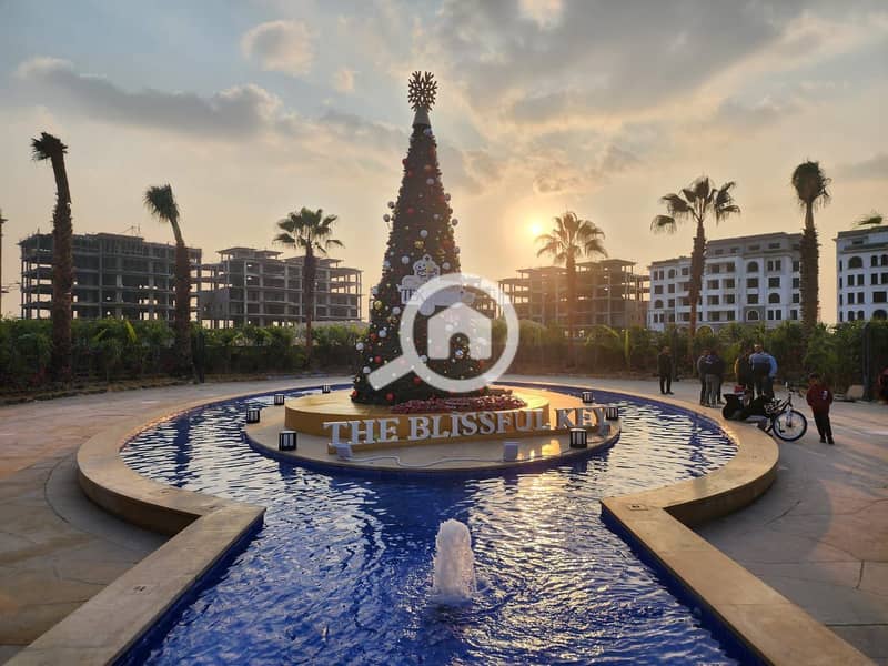 10 photo_2025-02-24_00-56-44. jpg