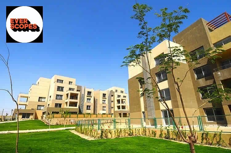 13 WhatsApp Image 2025-11-09 at 06.46. 57_be70873a. jpg